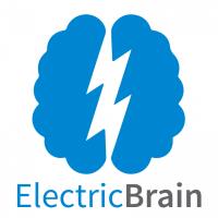 Electric Brain image 2