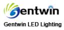 Gentwin LED Lighting Co., Ltd logo