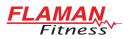 Flaman Fitness logo