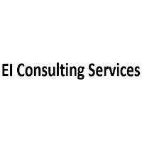 EI Consulting Services image 3