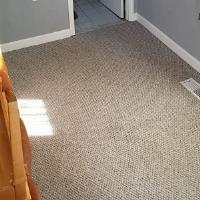 Carpet Cleaner Scarborough image 2