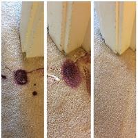 Carpet Cleaner Scarborough image 3