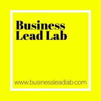 Business Lead Lab image 4