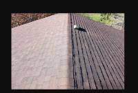 Greater Victoria Roof Cleaning image 2