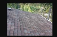 Greater Victoria Roof Cleaning image 3