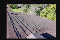 Greater Victoria Roof Cleaning image 4