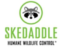 Skedaddle Humane Wildlife Control Durham image 1