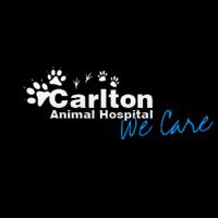 Carlton Animal Hospital image 4