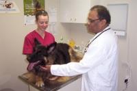 Carlton Animal Hospital image 3