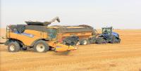 Markusson New Holland image 2