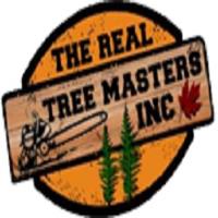 The real tree masters Inc. image 1