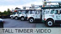 Tall Timber Tree Services Ltd. image 5