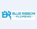 Blue Ribbon Plumbing logo