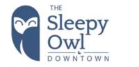The Sleepy Owl image 1