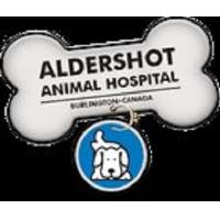 Aldershot Animal Hospital image 1