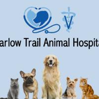 Barlow Trail Animal Hospital image 1