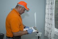 Mold Busters Kingston image 1