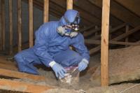 Mold Busters Kingston image 5