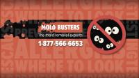 Mold Busters Kingston image 6