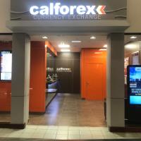 Calforex Currency Exchange image 2