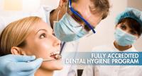 APLUS Institute | Toronto Dental Hygiene School image 2