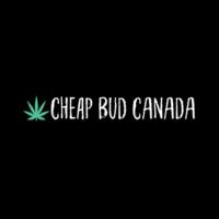 Cheap Bud Canada image 1