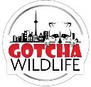 Gotcha Wildlife logo