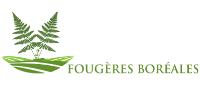  LES FOUGÈRES BORÉALES image 1