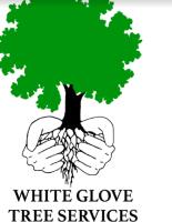 White Glove Tree Services image 1