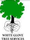 White Glove Tree Services logo