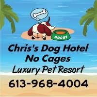Chris's Dog Hotel No Cages Luxury Pet Resort image 1