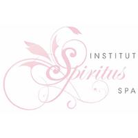 Institut Spiritus image 1