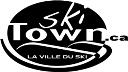 Skitown logo