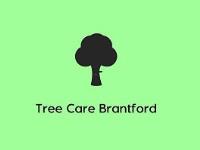 Tree Care Brantford image 2