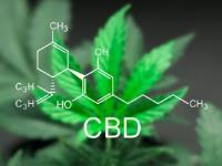 Bodystream Medical Cannabis Clinics image 2