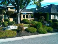 A-All Exterior Hedge & Tree Service image 3
