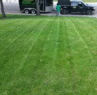 The Lawnfather - Lawn Care & Snow Removal image 2