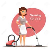Frezco Eco Cleaning image 1