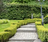 Priority Landscaping Mississauga image 6