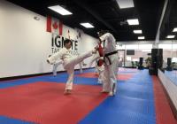 Ignite Taekwondo Inc. image 1