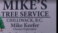 Mike's Tree Service image 1