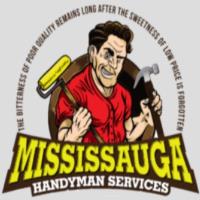 Mississauga Handyman (Brampton) image 1