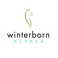 Winterborn Alpaca Canada image 1