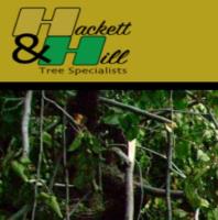 Hackett & Hill Tree Specialists (Gloucester) image 1