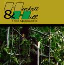 Hackett & Hill Tree Specialists (Gloucester) logo