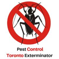 Pest Control Toronto Exterminator image 3