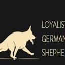 Loyalist Shepherds logo