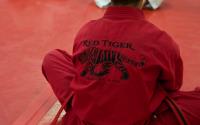 Red Tiger Martial Arts image 2