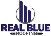 Real Blue Roofing image 1