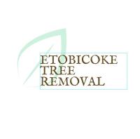 Etobicoke Tree Removal image 2